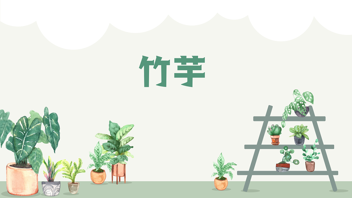 17598151第1页