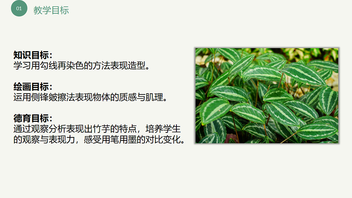 17598151第4页