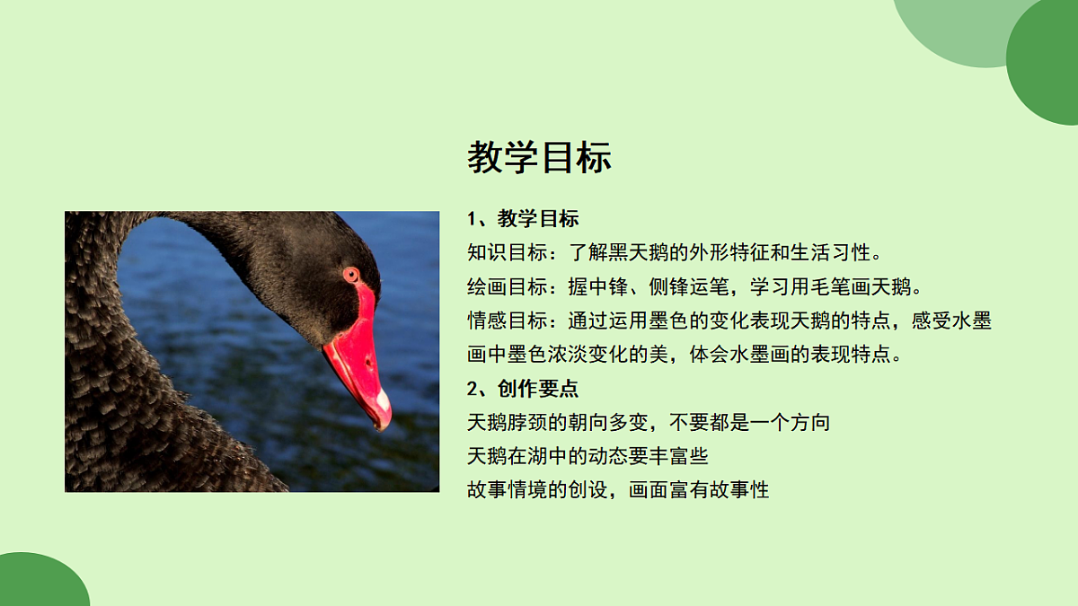17598152第4页