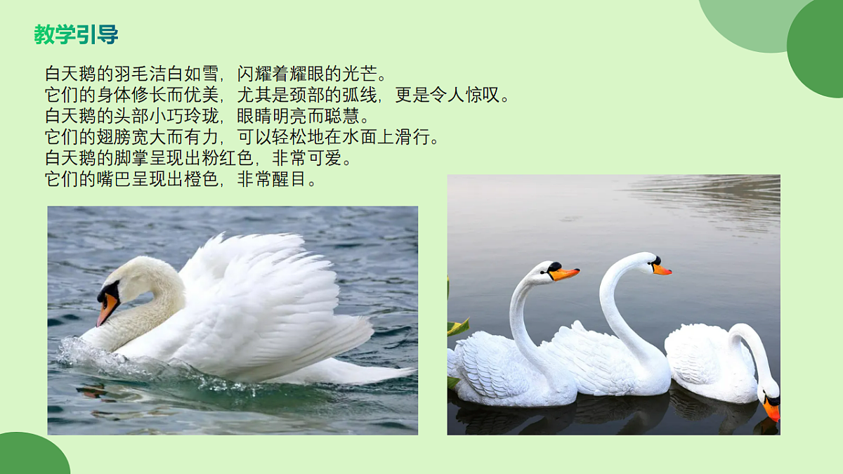 17598152第7页