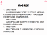 4.3.1 离子键（教学课件）—高中化学人教版（2019）必修一教学课件