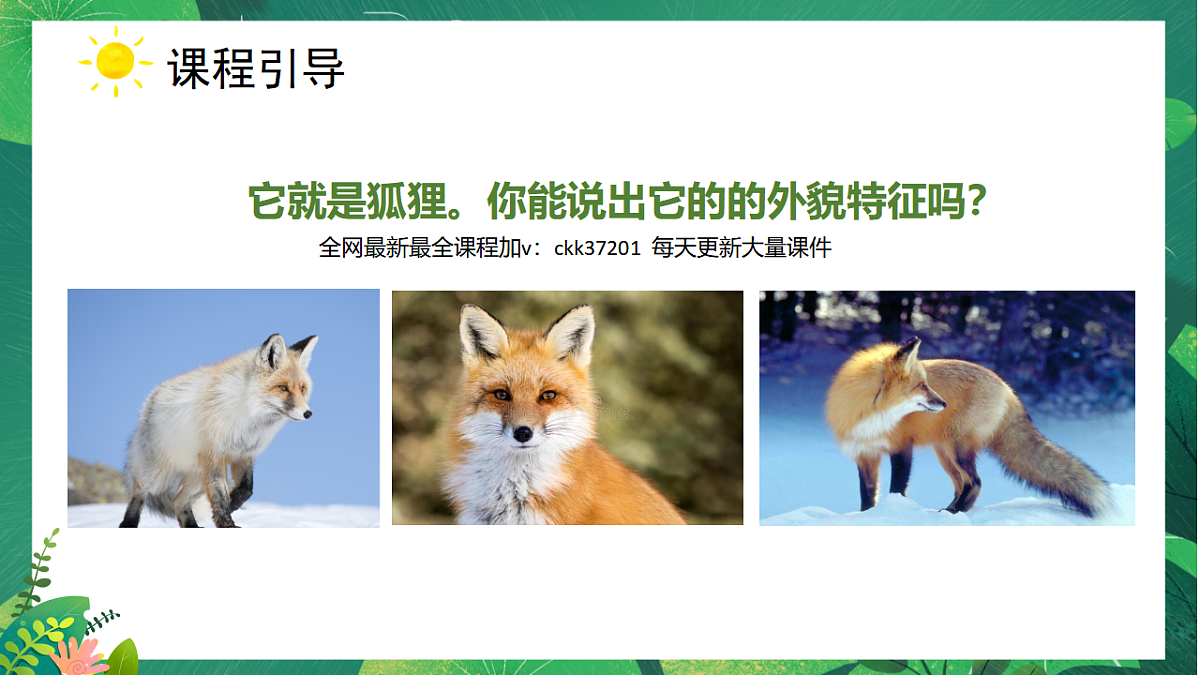 17598370第7页