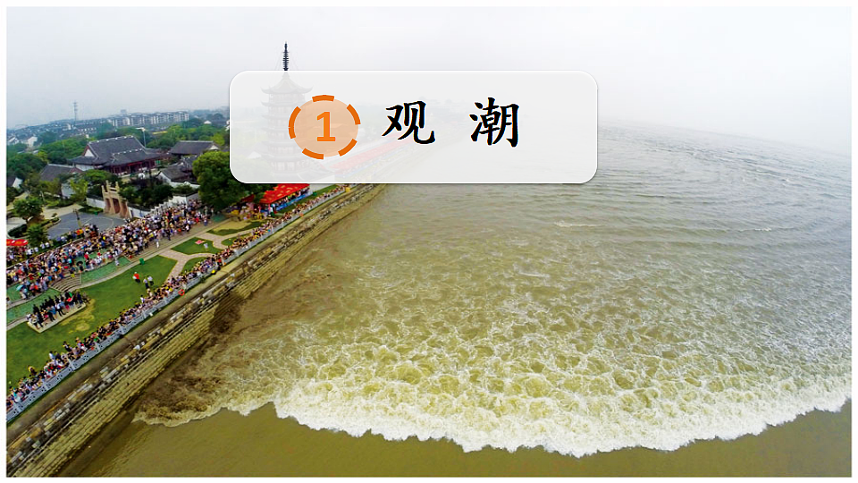 17598680第5页
