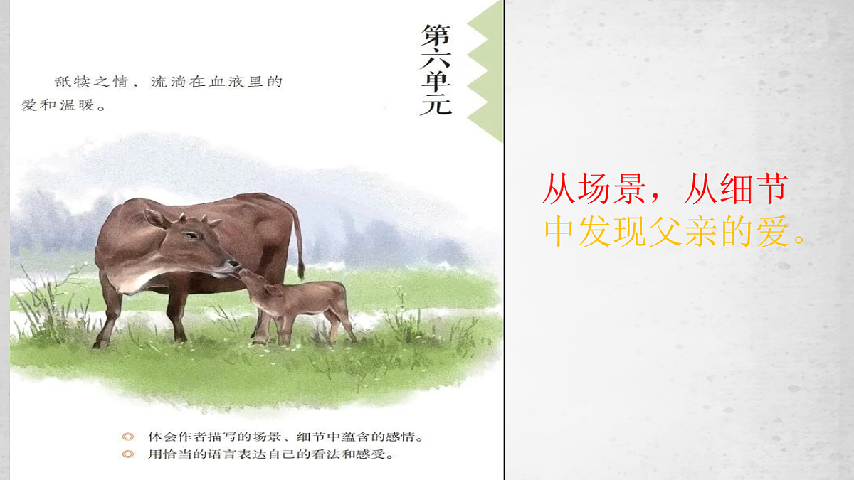 17598938第8页