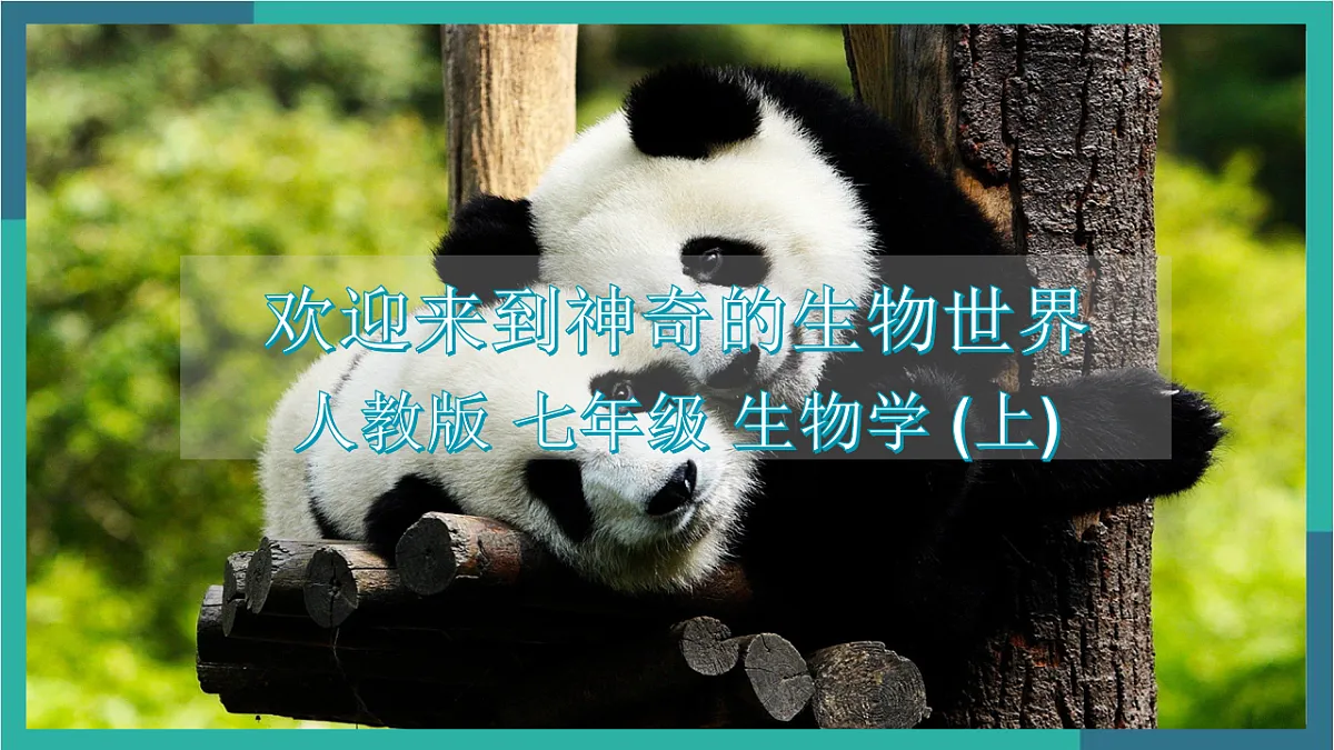 17599175第1页
