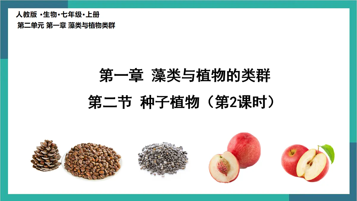 17599175第3页