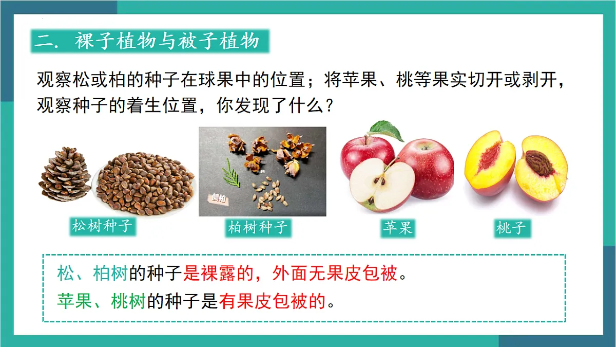 17599175第5页