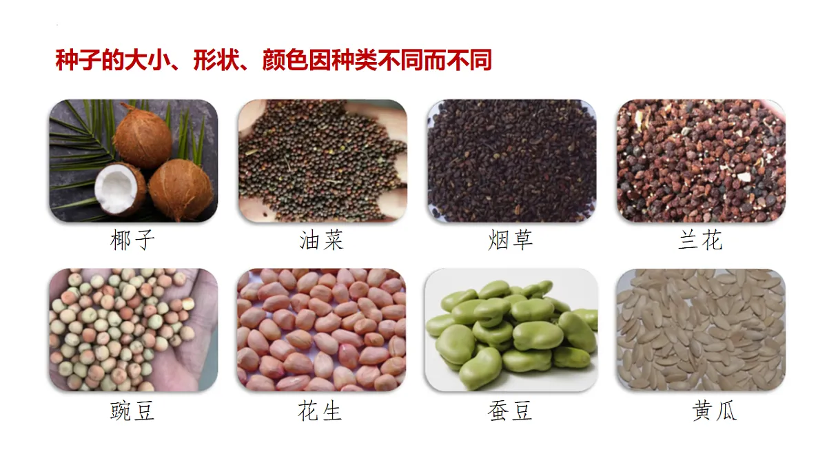 17599176第2页