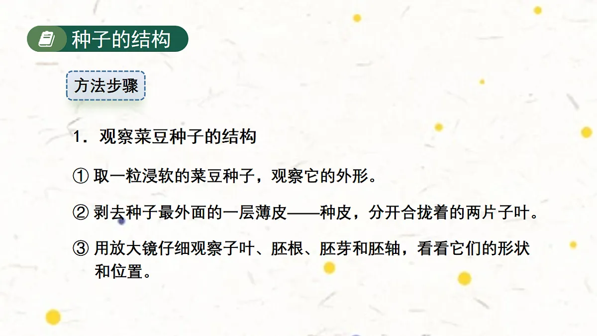 17599176第4页
