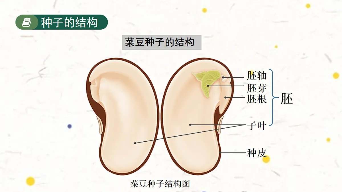 17599176第5页
