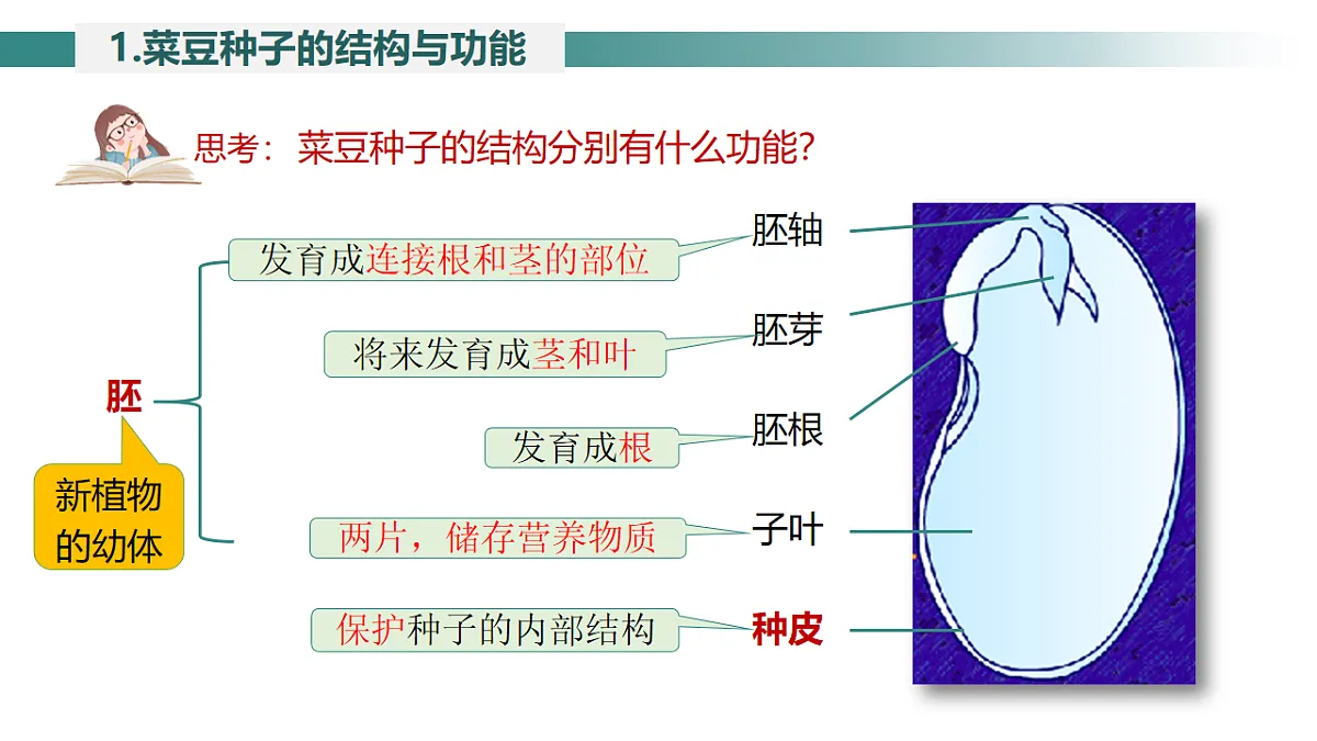 17599176第7页