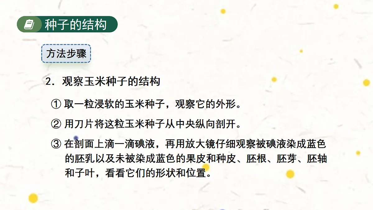 17599176第8页