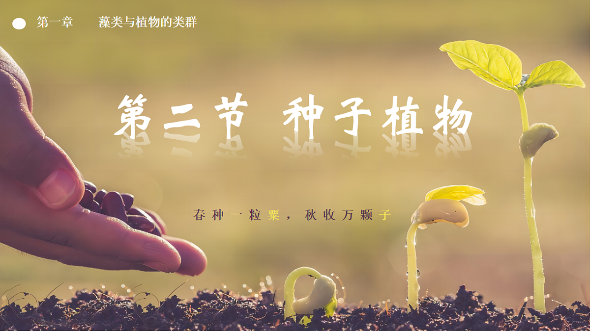 17599177第2页
