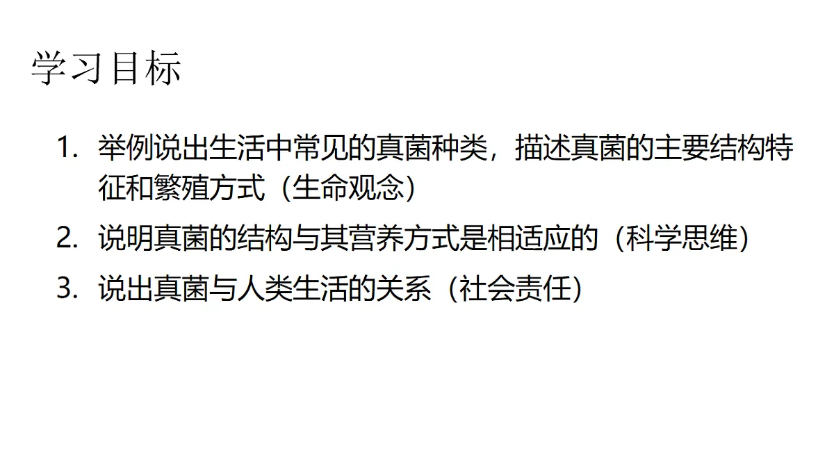 17599178第2页
