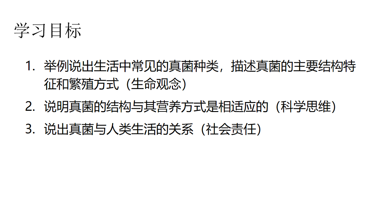 17599178第2页