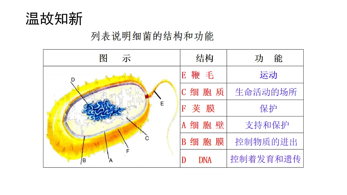17599178第3页