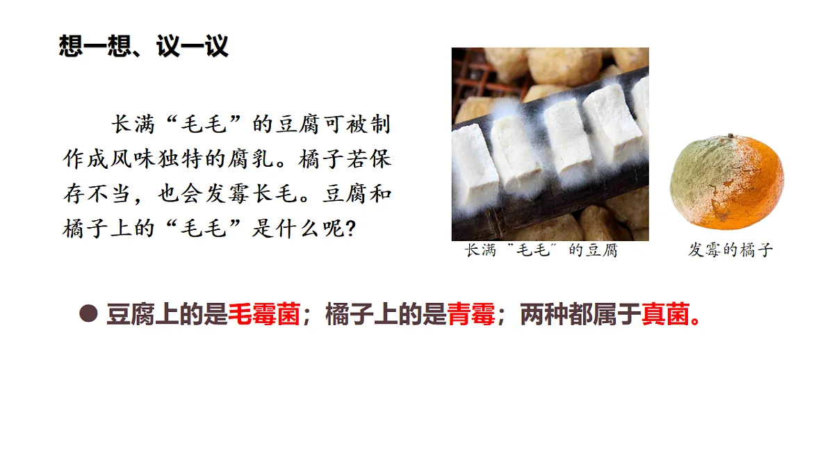 17599178第4页