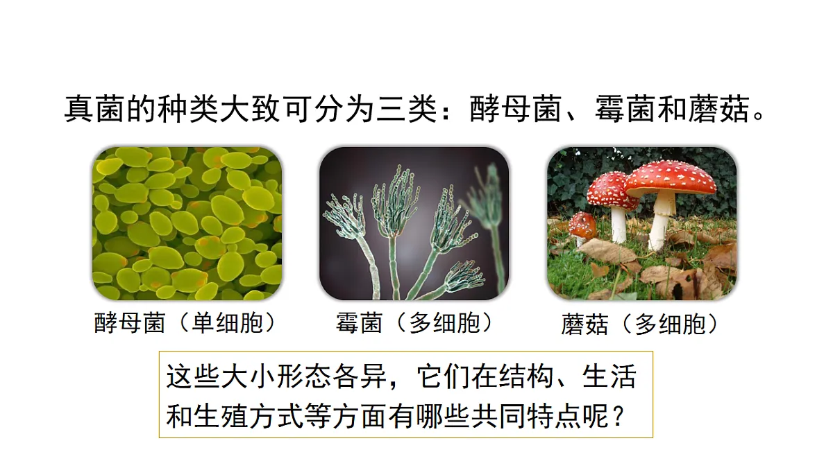 17599178第6页