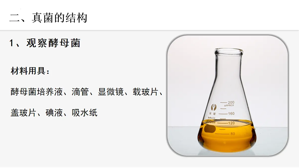 17599178第7页