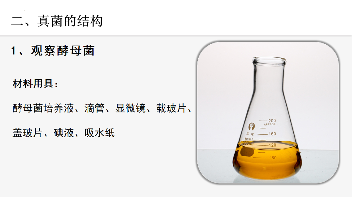 17599178第7页