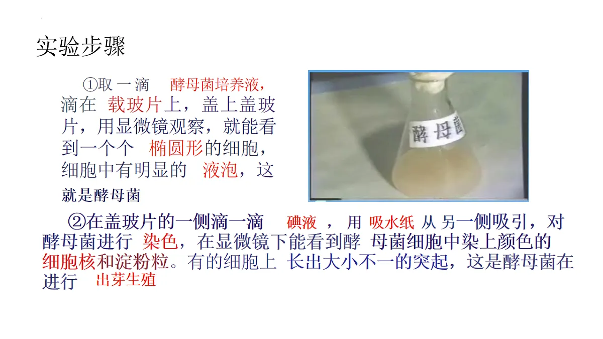 17599178第8页
