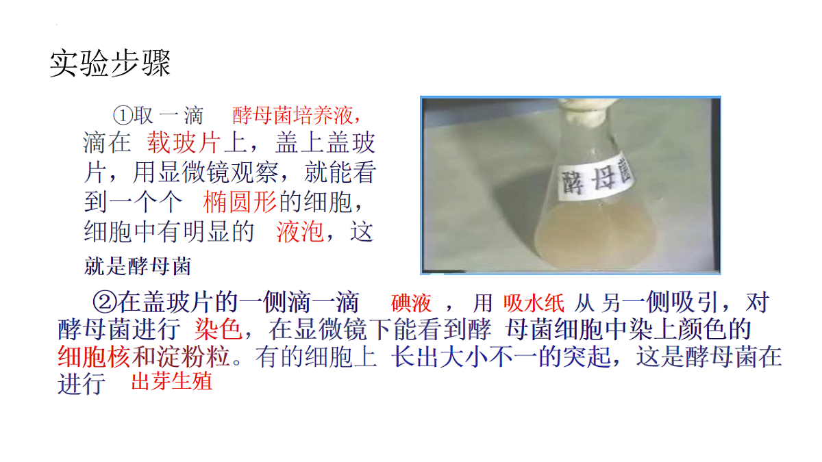 17599178第8页