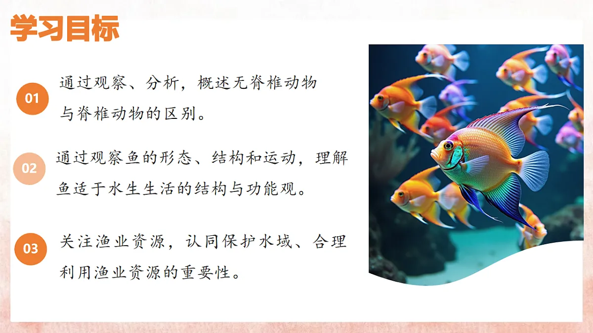 17599180第3页