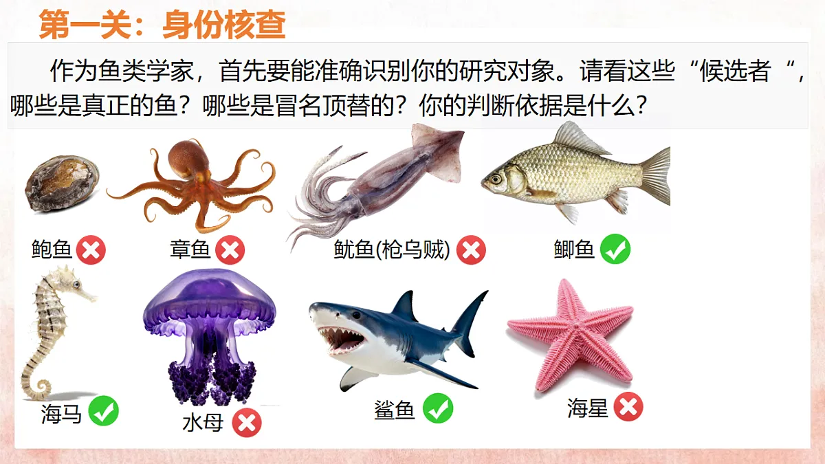 17599180第5页