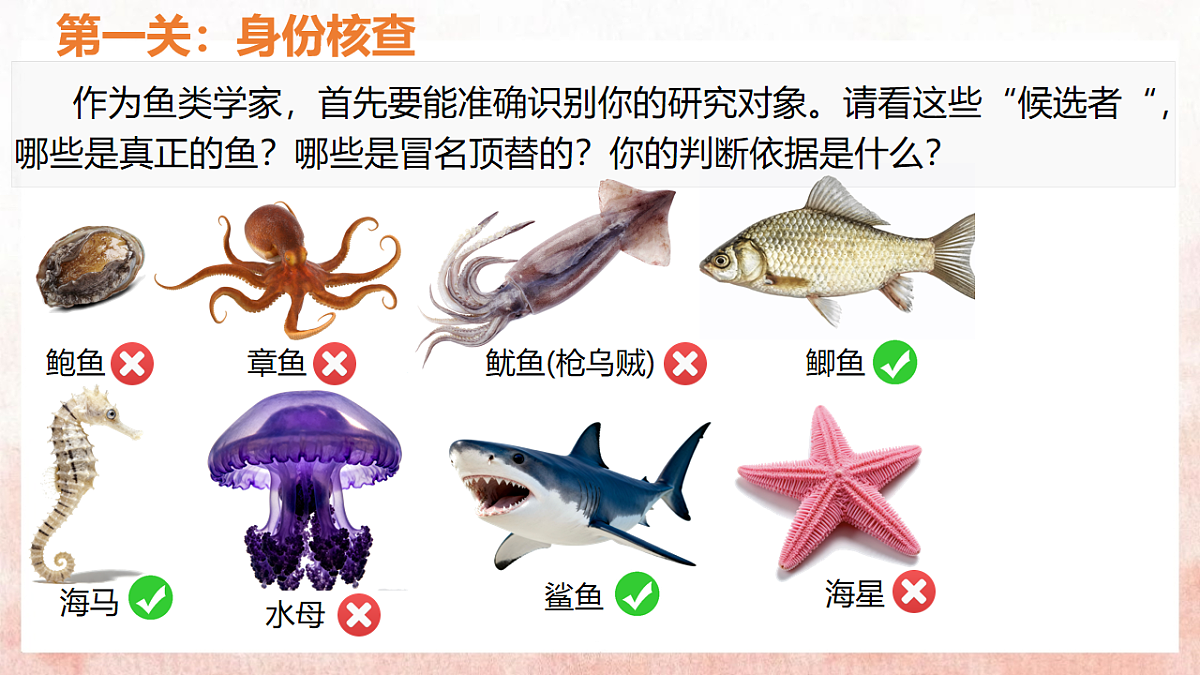 17599180第5页