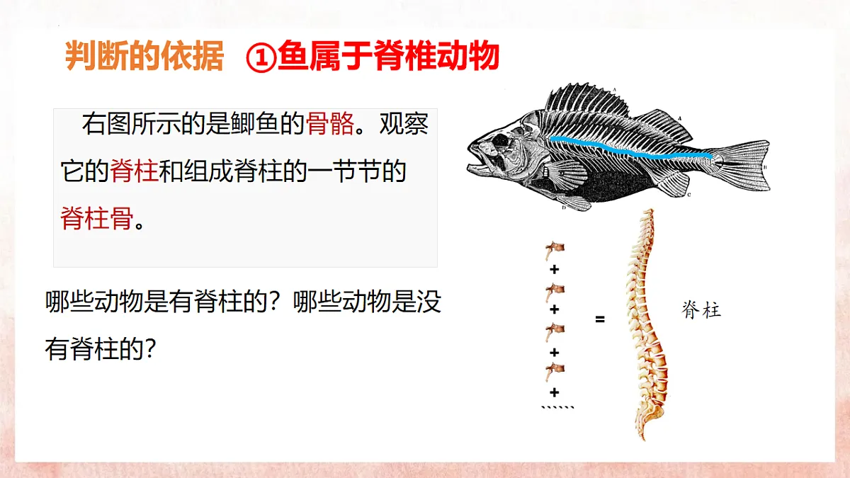17599180第6页