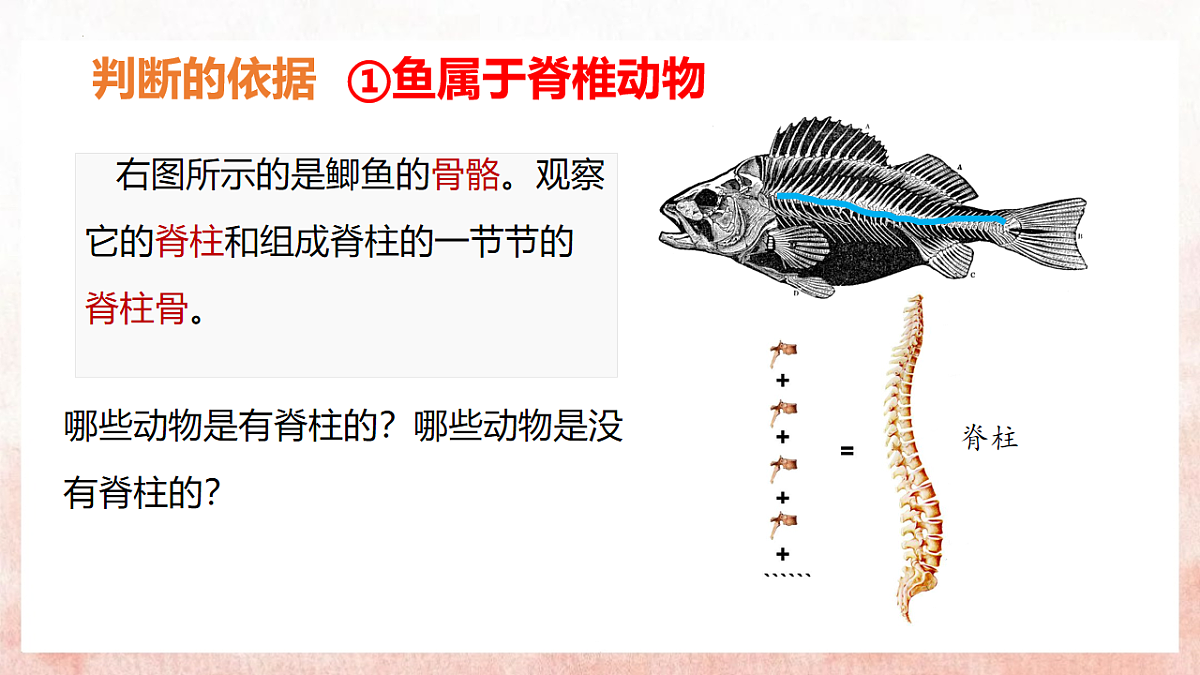 17599180第6页