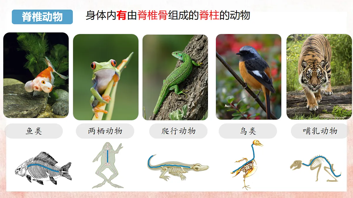 17599180第7页