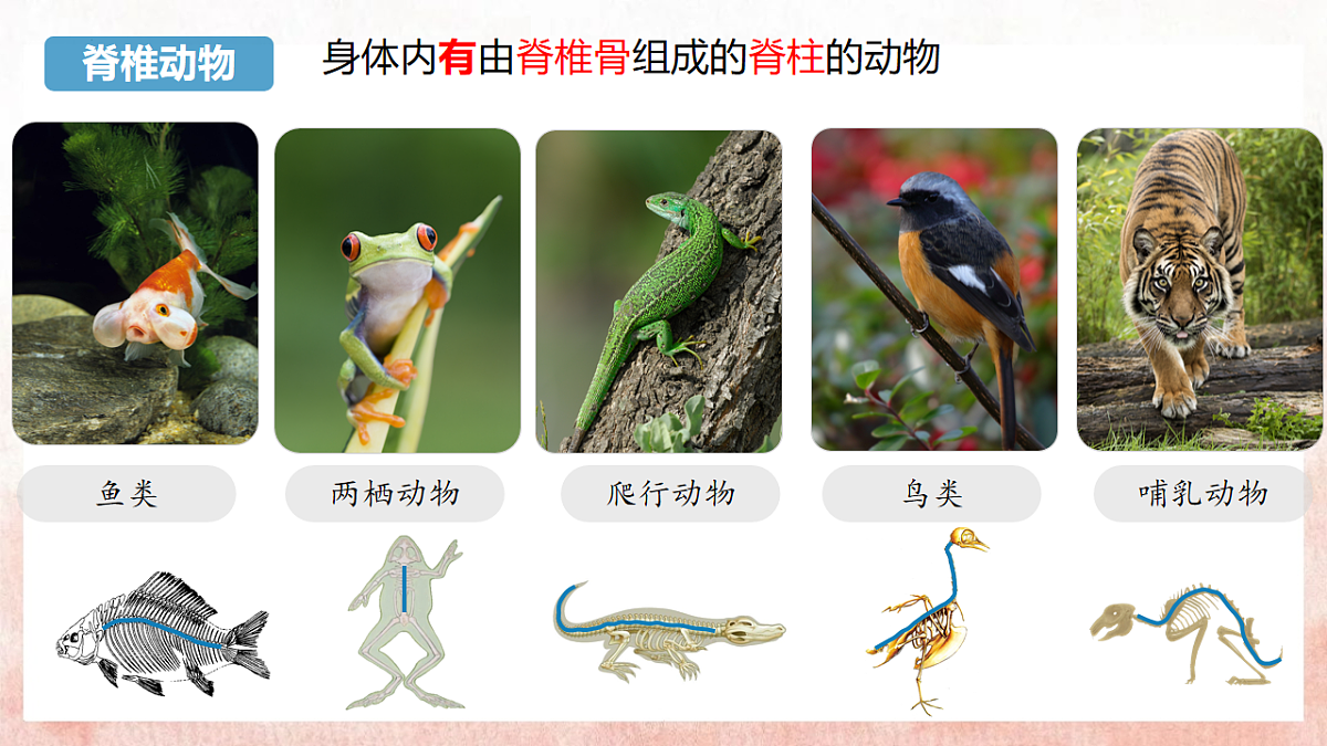 17599180第7页
