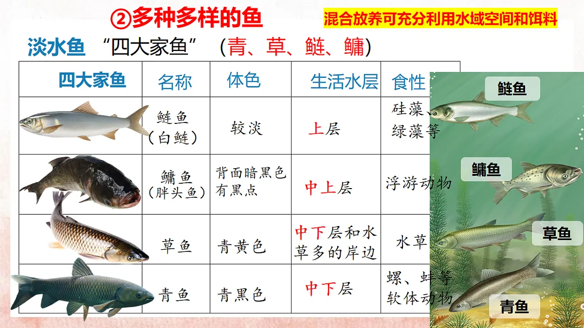 17599180第8页