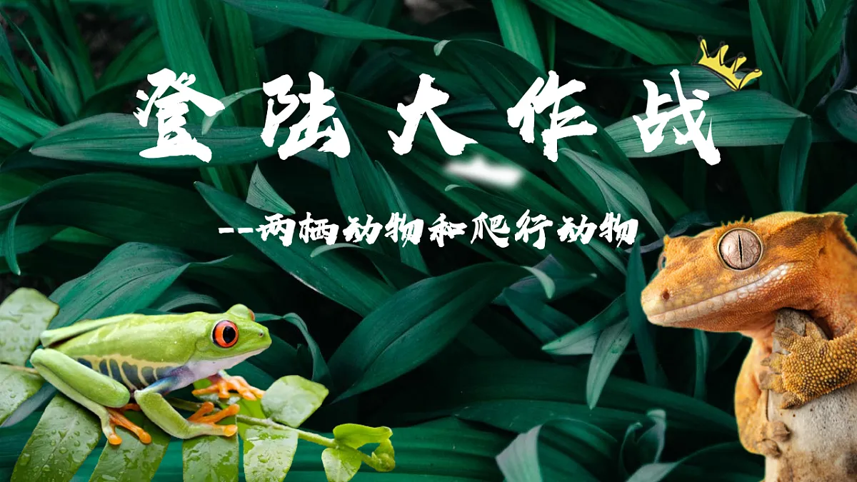 17599181第1页