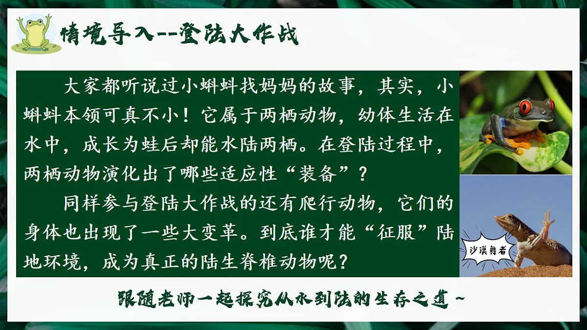 17599181第2页