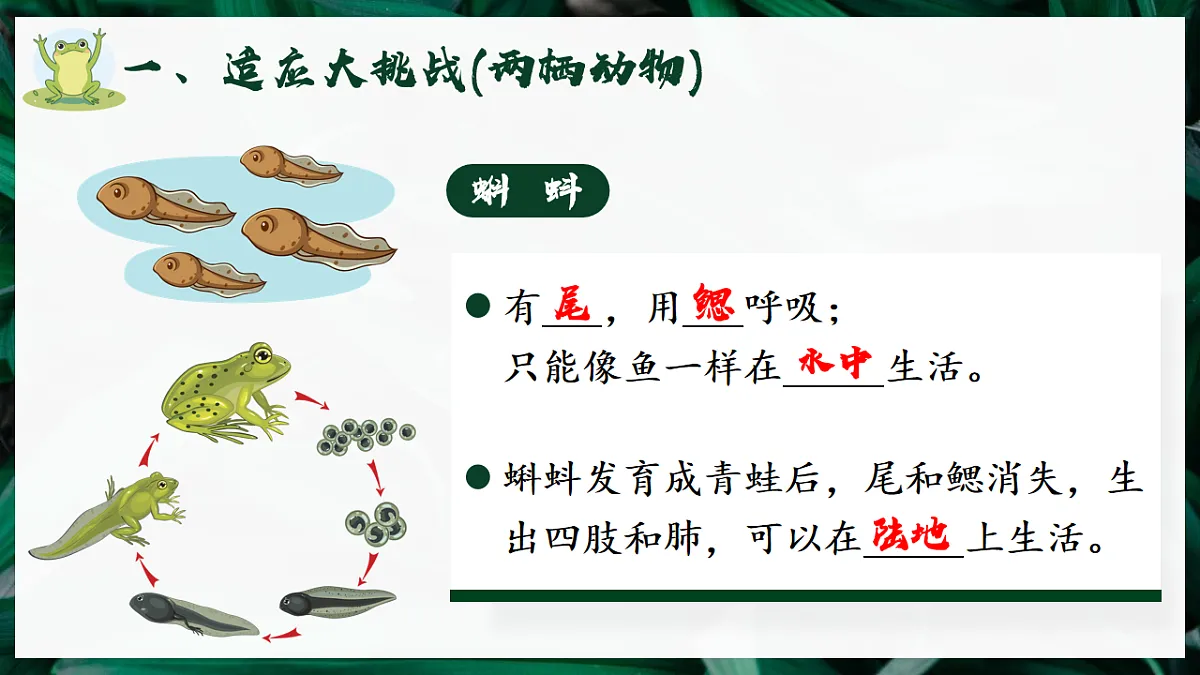 17599181第3页