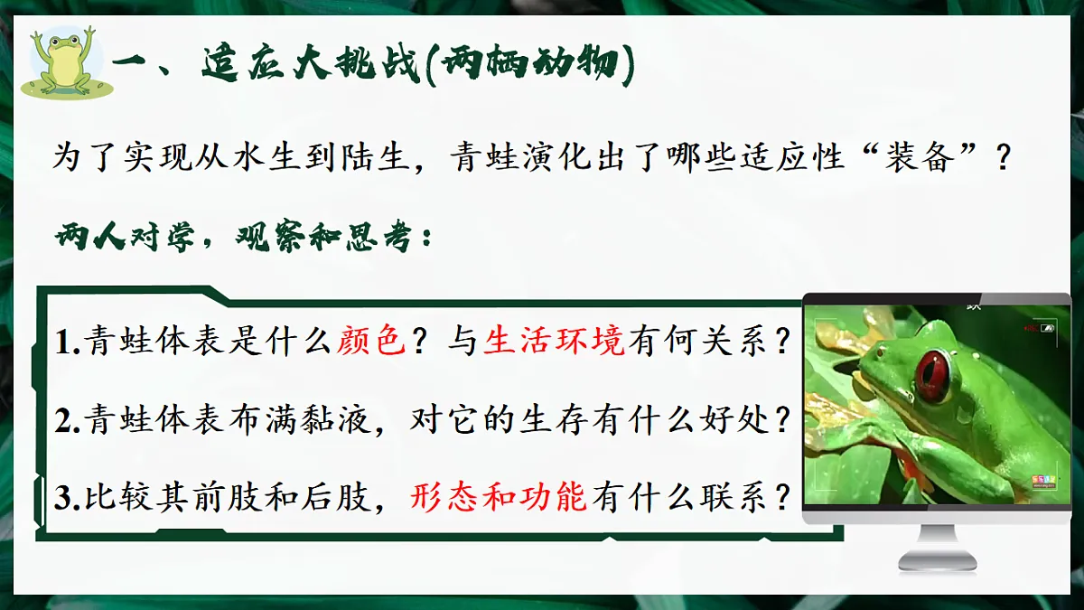 17599181第4页