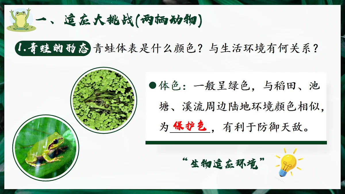 17599181第5页