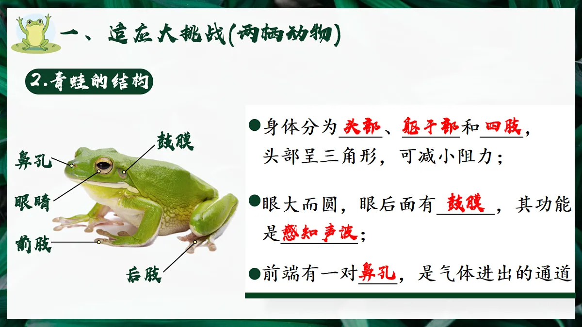 17599181第7页