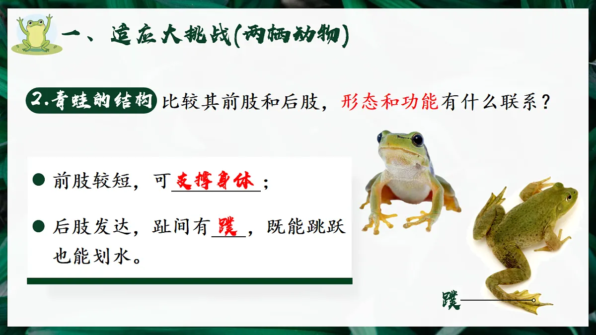 17599181第8页