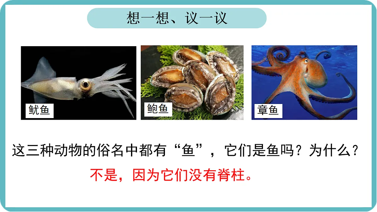 17599182第2页