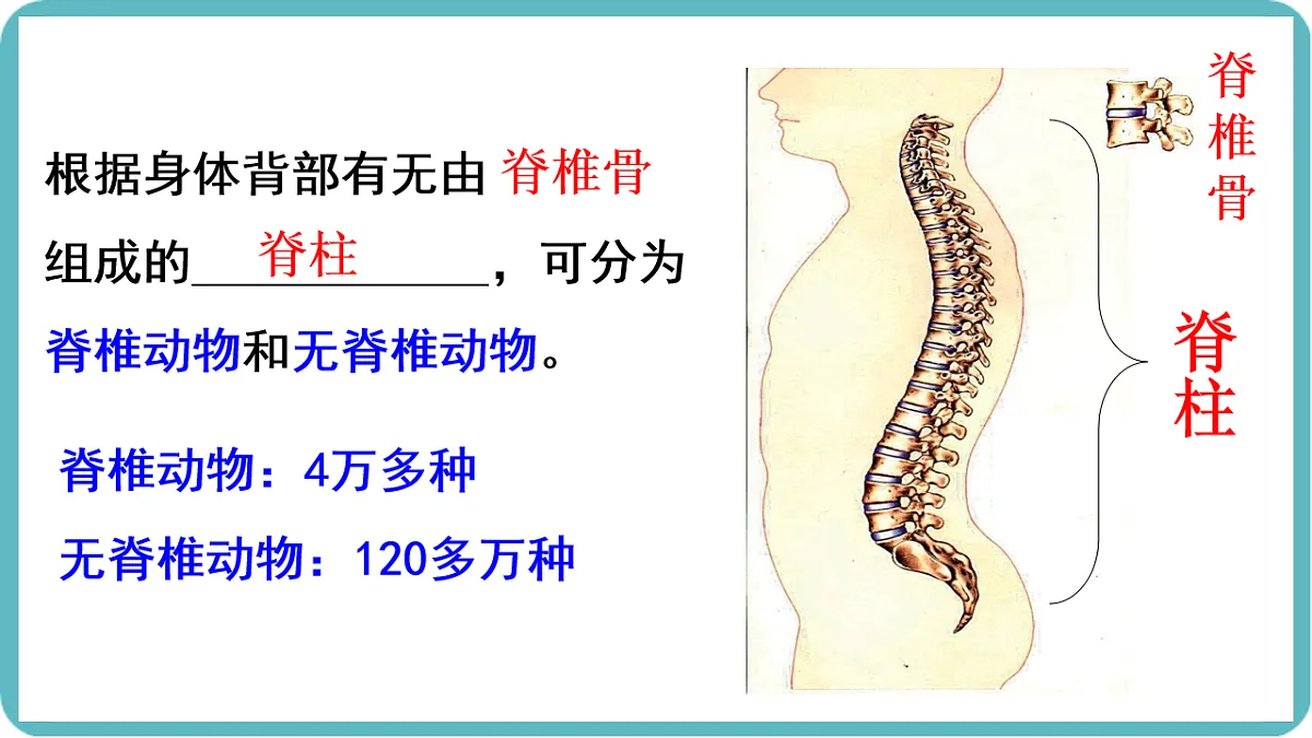 17599182第3页