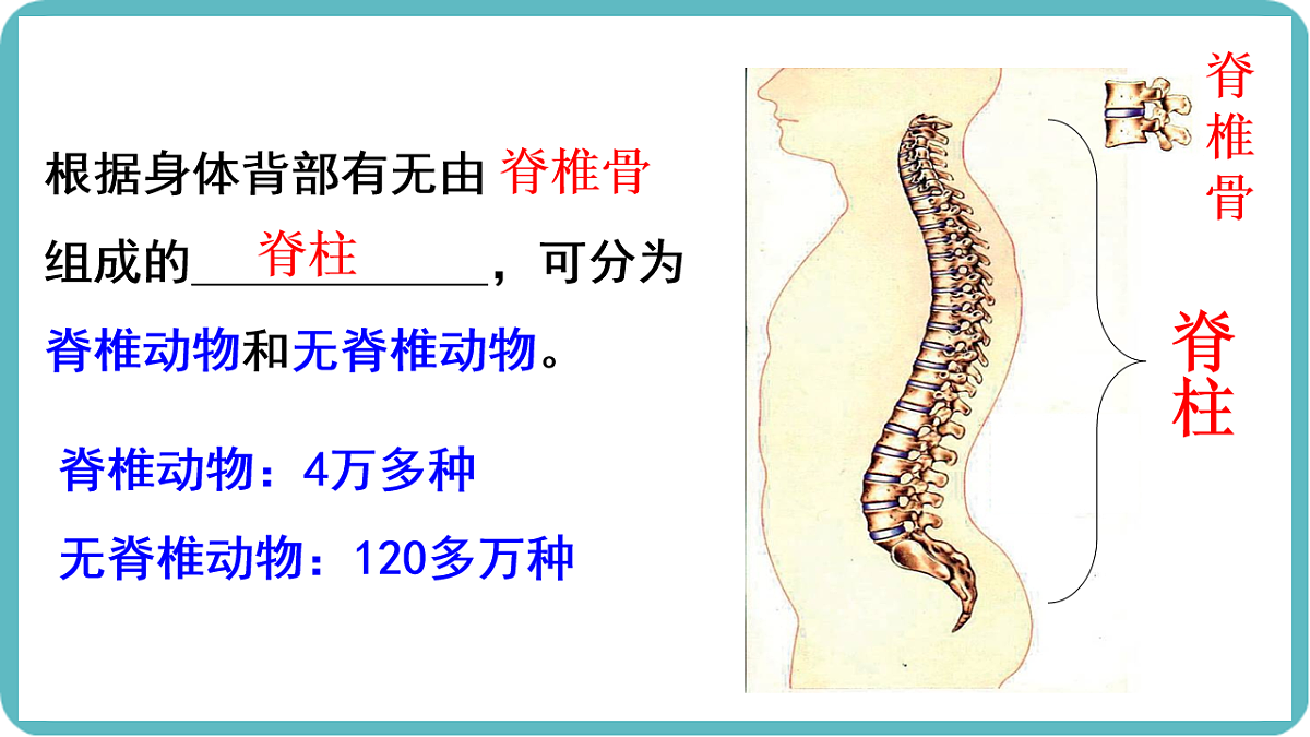 17599182第3页