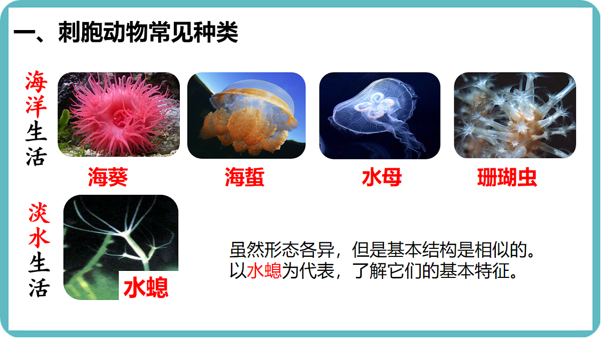 17599182第4页