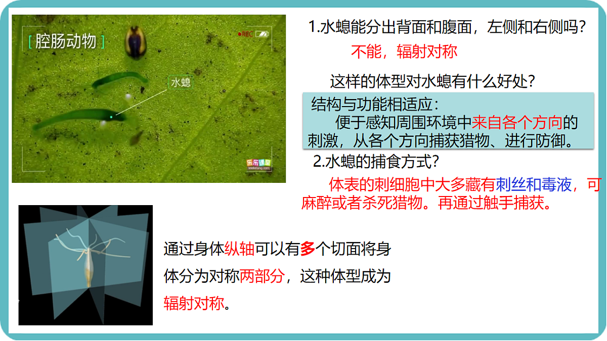17599182第5页