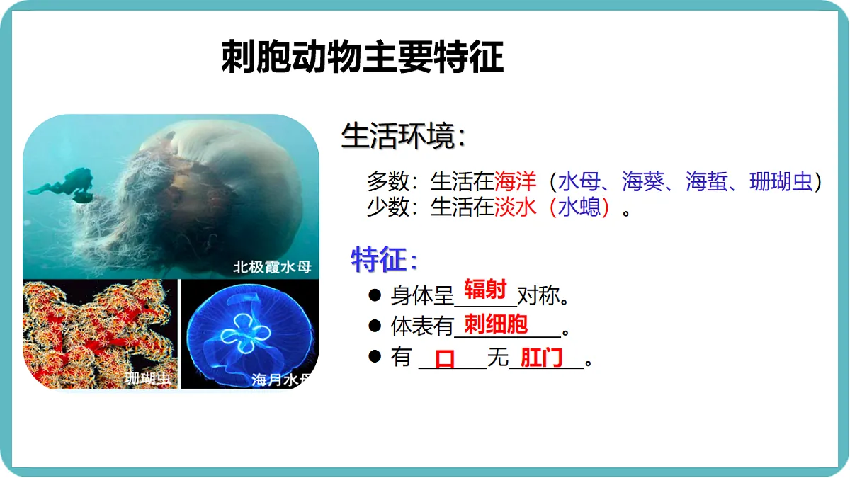 17599182第6页