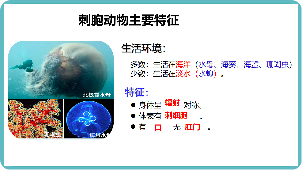 17599182第6页