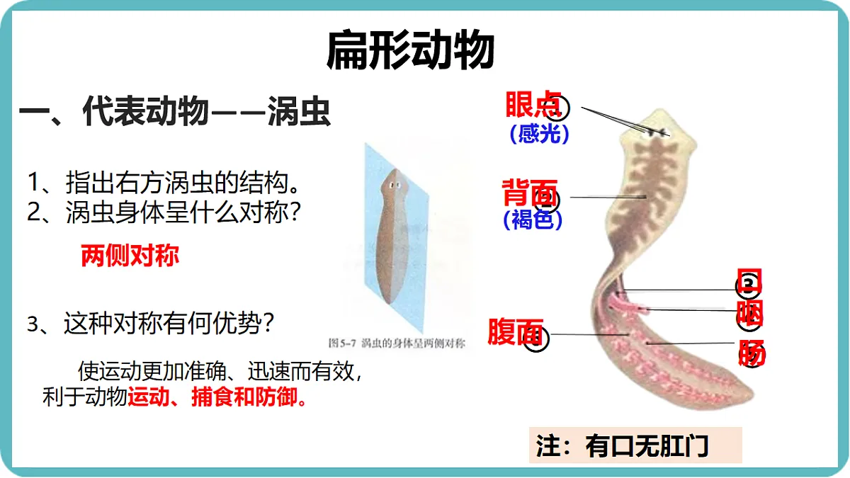 17599182第7页