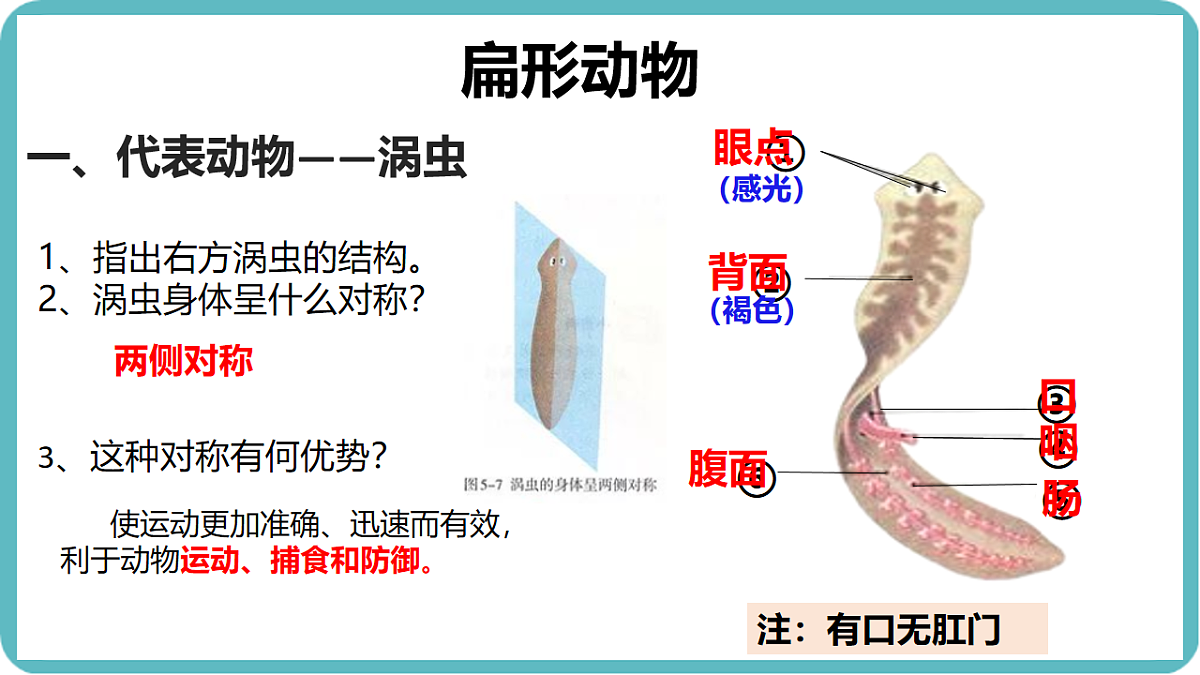 17599182第7页
